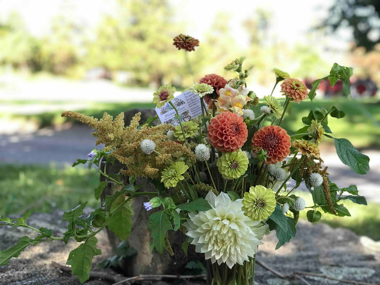 New Hope Flora Cottage Grand Flora Arrangement