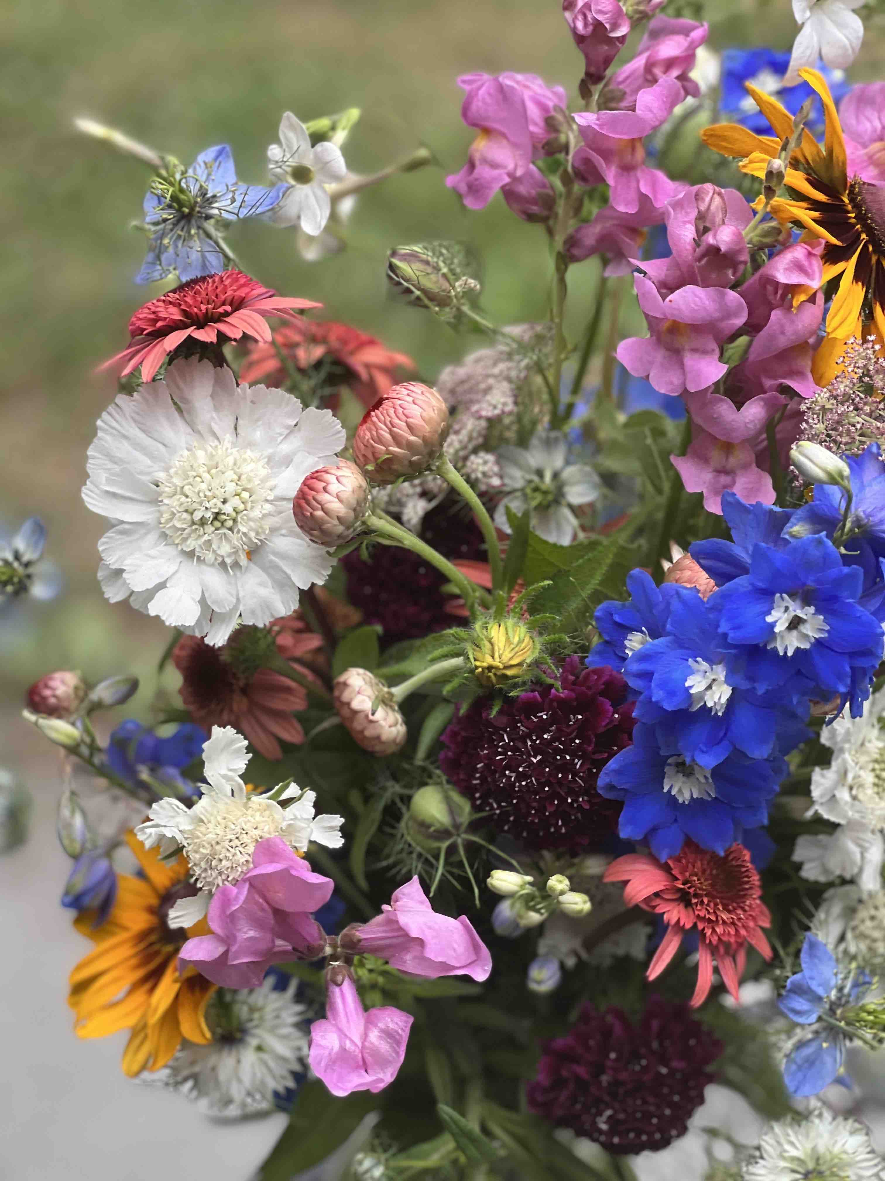 New Hope Flora Cottage locally grown flowers