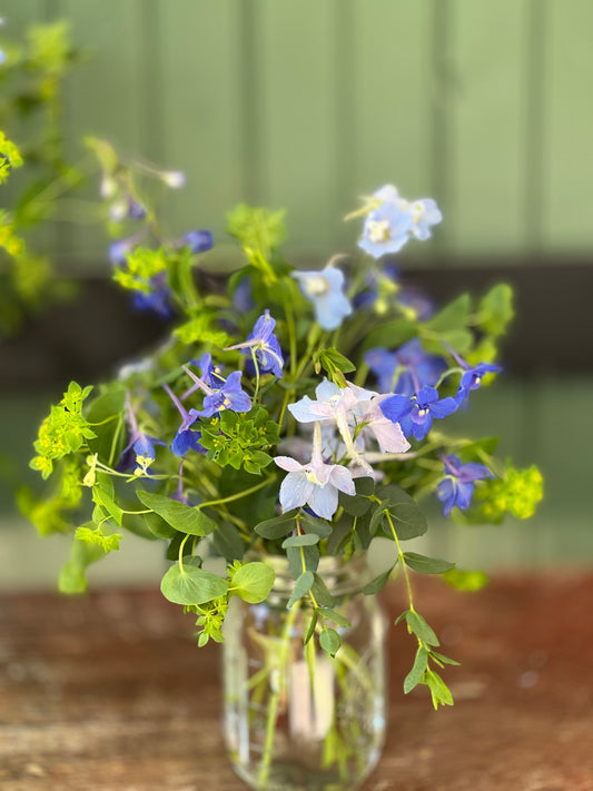 Summer Little Flora Arrangement